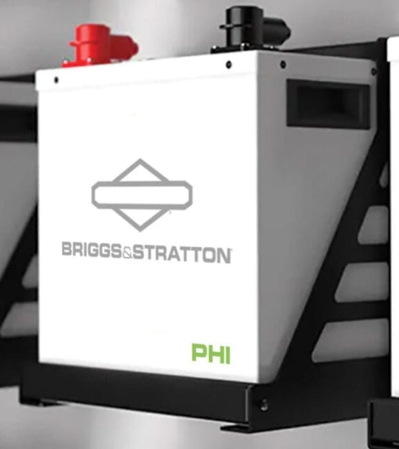 Briggs & Starton Back Picture